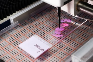 华质泰科TriVersa NanoMate 芯片多通道纳喷离子源 应用于微生物领域