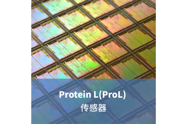 LifeDisc Protein L(ProL) 生物传感器