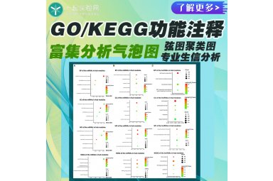 GO/KEGG功能注释和富集分析气泡图/弦图聚类图/专业生信分析服务