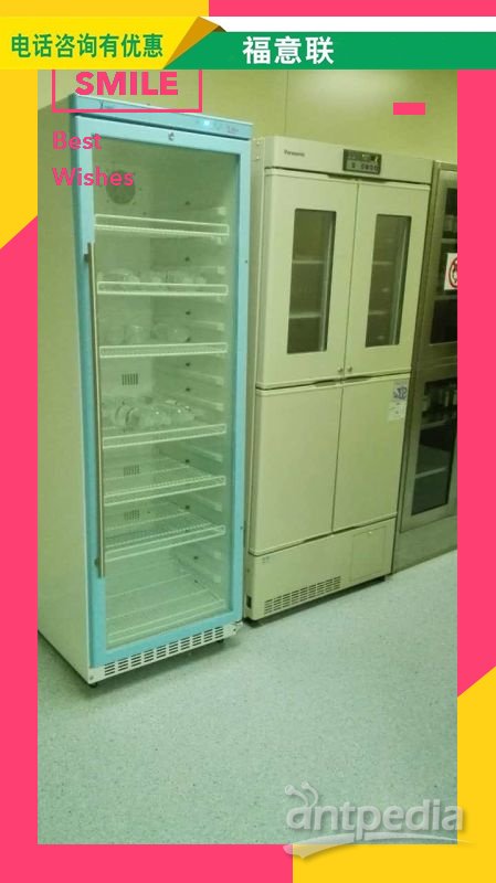 结核病实验室（冰箱（-20°））FYL-YS-1028L