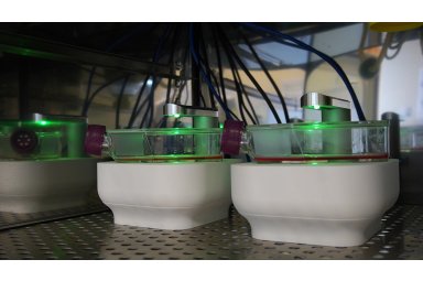 CytoSMART Lux3 FL Duo Kit 用于平行比较研究的 荧光活细胞成像