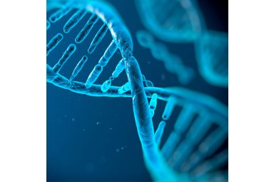 Biomek 基因组工作站 二代测序文库构建（NGS建库）