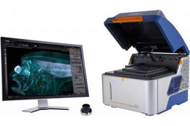 牛津仪器ANDOR BC43台式共聚焦显微镜 应用细胞生物学领域