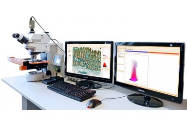 TissueFAXS Histo 超大玻片全景组织细胞定量分析系统