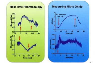 blu box 测量O2、NO和葡萄糖的植入式传感器