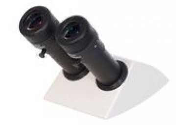 徕卡双筒斜管显微镜 Leica Inclined binocular tube 45