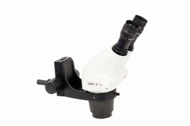 德国徕卡 立体显微镜 S6