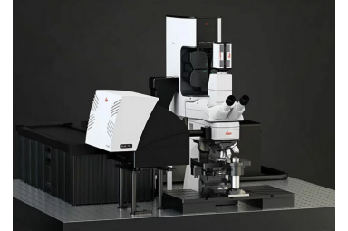 德国徕卡 多光子显微镜 STELLARIS 8 DIVE