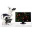 生物显微镜徕卡德国 正置手动显微镜  可检测生命科学显微镜产品