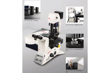 徕卡德国 共聚焦显微镜Leica TCS SP8 可检测如细胞