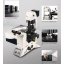 Leica TCS SP8徕卡激光共聚焦 应用于细胞生物学