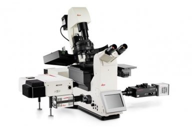 生物显微镜德国 高速成像平台 DMi8 SDMi8 S 样本