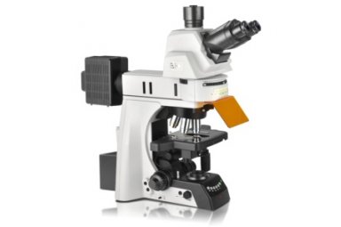 Nexcope科研级电动正置荧光显微镜NE930-FL