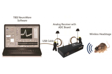 TBSI--神经信号记录系统