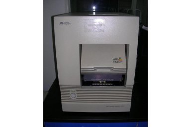 ABI 7000,ABI Prism 7000实时荧光定量PCR
