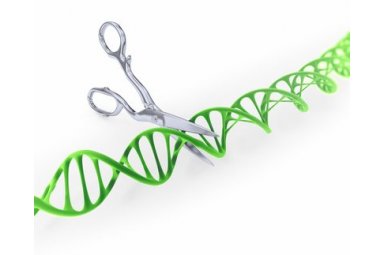 CRISPR/Cas9基因编辑