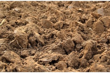 土壤生理生化指标检测