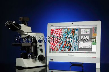 迅数 MIC型 显微图像分析系统 用于显微细胞图像分析