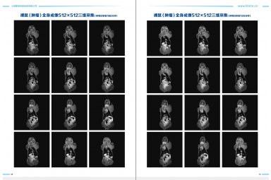 （60mm）1.0T小动物核磁共振成像研究系统可用于生物医药