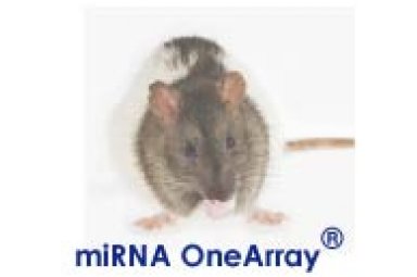 华联小鼠大鼠miRNA OneArray芯片