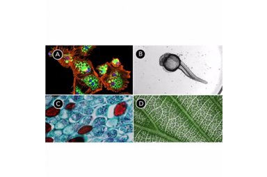 安捷伦BioTek Cytation 7 细胞成像多功能微孔板检测系统 适用于常规细胞学