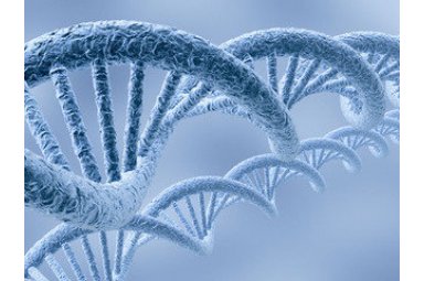 基因合成/DNA提取纯化/QPCR/ChIP服务