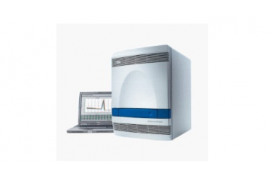 荧光定量PCR/引物合成/EMSA/RT-PCR/ELISA/原位杂交/质粒构建服务