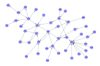 基因相互作用网络图