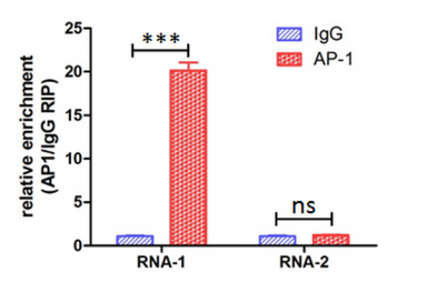 长链非编码RNA（lncRNA）研究