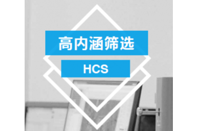 HCS高内涵筛选（功能基因组学）