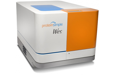 WES全自动蛋白质表达分析系统