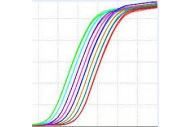 定量PCR-定量包装秤