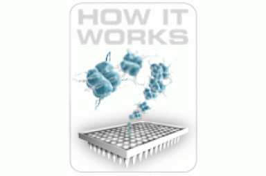 同源异形盒（HOX）基因ChIP PCR芯片 Homeobox (HOX) Genes EpiTect ChIP qPCR Array