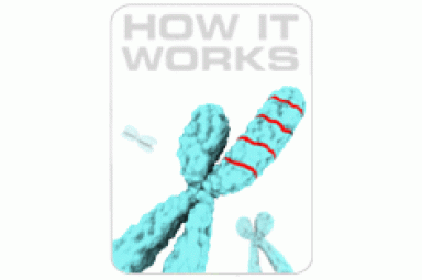 WNT信号通路qBiomarker拷贝数PCR芯片 WNT Signaling Pathway qBiomarker Copy Number PCR Arrays