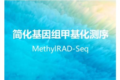 甲基化测序MethylRAD-Seq