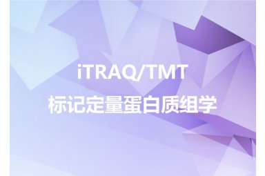 iTRAQ/TMT标记定量蛋白质组