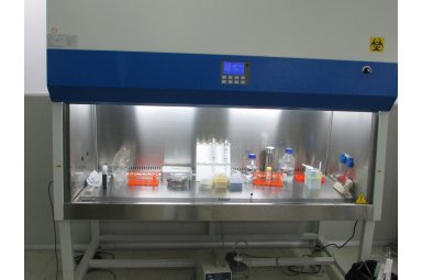 实验技术外包服务和细胞鉴定、永生化