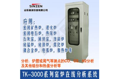 新泽TK-3000系列窑炉在线分析系统
