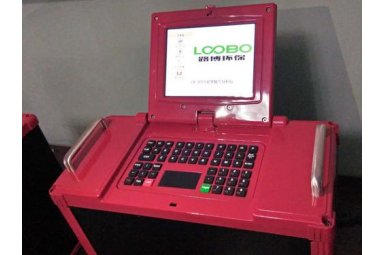 路博便携式非分散红外烟气分析仪LB-3010 全国包邮
