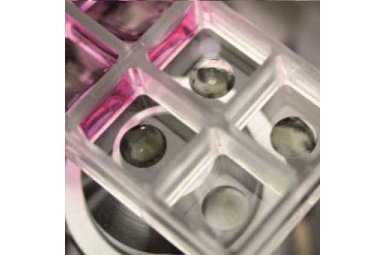 3D仿生水凝胶试剂盒其它实验室常用设备G90-1 