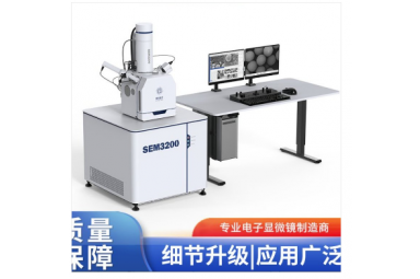 国仪量子 国产丰富扩展性扫描电子显微镜 SEM3200