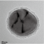 韵翔 硫化镉包金核壳结构纳米粒子