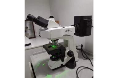 莱博迈+科研级正置显微镜+Lx 500