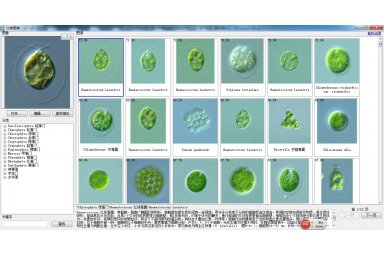 AlgaeC多功能生物监测仪藻类计数智能鉴定仪