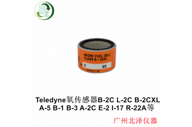 微燃料电池C06689-B2CXL