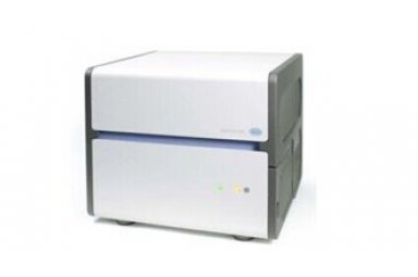罗氏 LightCycler480 实时荧光定量PCR