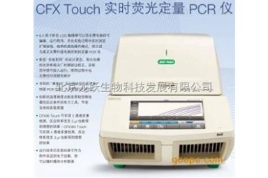 美国伯乐CFX 384Touch多通道荧光定量PCR