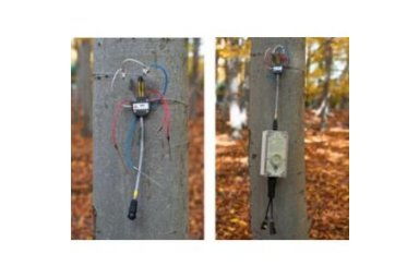 EMS81便携式树木茎流观测仪