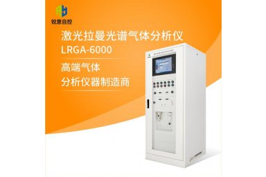 激光拉曼光谱气体分析仪- LRGA-6000