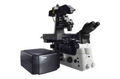 尼康 C2+ 共聚焦显微镜系统